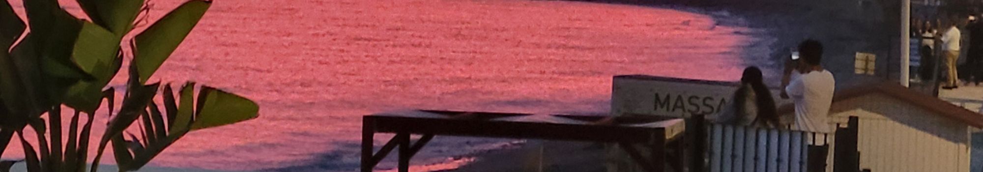 We offer you the best real estate offer in Marbella. PATRICIA LAREDO DAYAN en Marbella